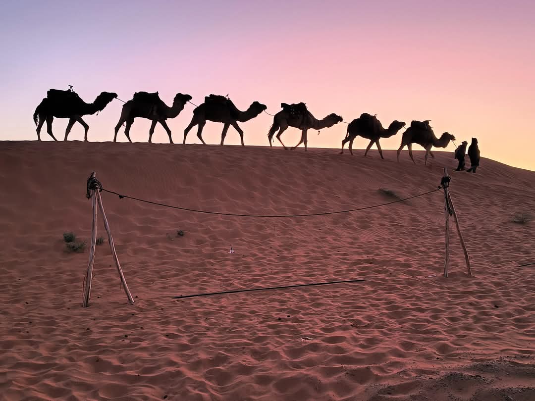 Desert Image